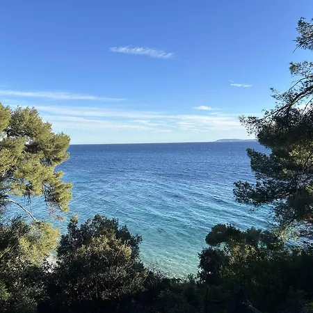 2 Pieces, Terrasse Et Parking, - Fr-1-251-892 Apartment Bormes-les-Mimosas